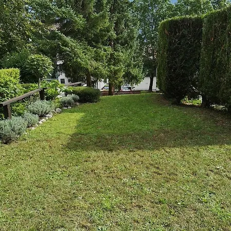 Mojca Apartment *