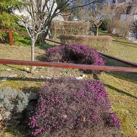 Apartment Mojca