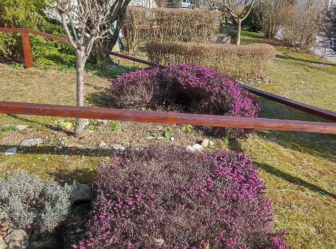 Διαμέρισμα Mojca